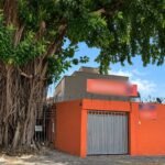 Prefeitura usará dois guindastes para remover gameleira no setor Campinas, em Goiânia