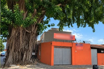 Prefeitura usará dois guindastes para remover gameleira no setor Campinas, em Goiânia