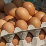 Proteína mais barata: preço do ovo cai até 18% na Ceasa de Goiás 