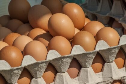 Proteína mais barata: preço do ovo cai até 18% na Ceasa de Goiás 