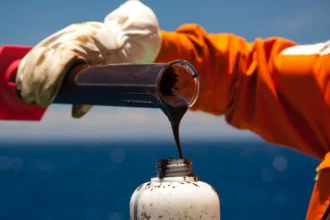 Reajuste do diesel da Petrobras será neutralizado por novo subsídio federal de R$ 1 por litro