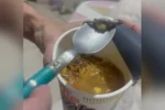 Sabor lagartixa: consumidora de Goiás é indenizada após encontrar animal em macarrão instantâneo