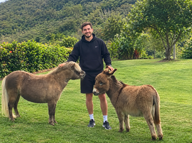 Três minutos com um burro em miniatura pode melhorar o seu humor, diz estudo