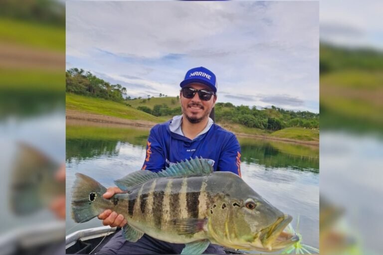 Tucunaré-azul pescado e solto durante torneio é recapturado 9 meses depois em Itumbiara