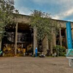 UnB acumula 38 processos em investigação por fraudes em cotas raciais