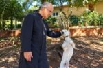 Vídeo do padre Luiz Augusto sobre como criar animais gera polêmica na internet
