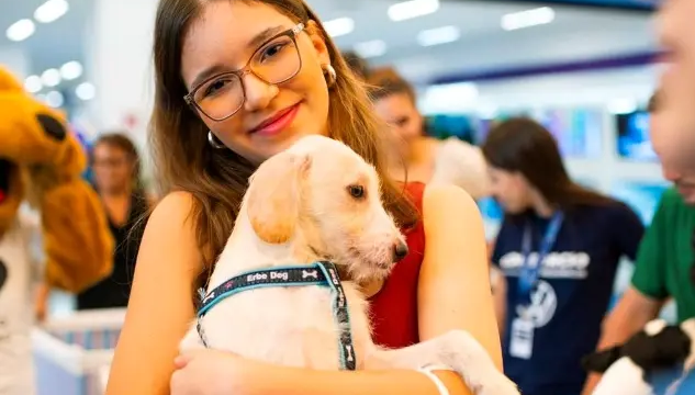 Adote um Aumiguinho leva cães à procura de uma família a shopping de Goiânia