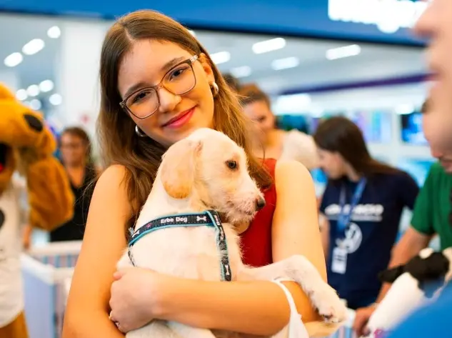 Adote um Aumiguinho leva cães à procura de uma família a shopping de Goiânia