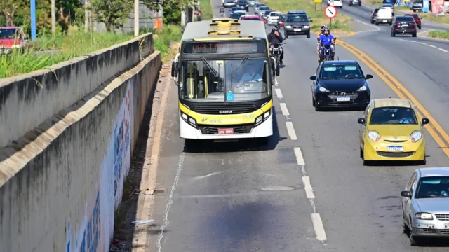 Aniversário de Goiânia muda trajeto de 33 linhas de ônibus; veja quais