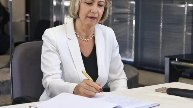 Após queda de árvore condenada, presidente da Amma diz que há outras 40 com corte suspenso que podem cair