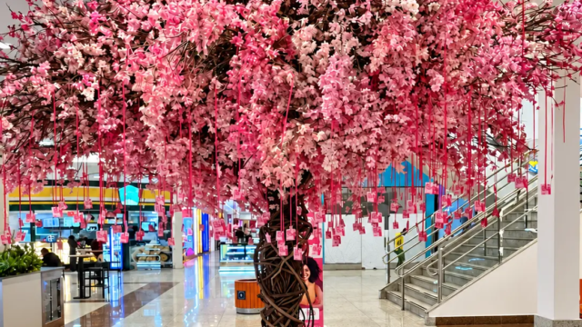 Árvore rosa em shopping de Goiânia convida visitantes a colher mensagens de autocuidado
