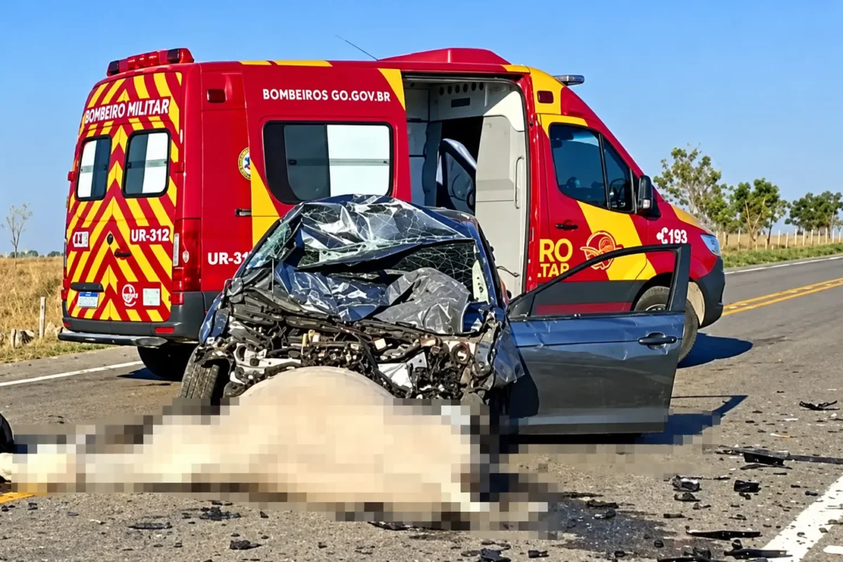 Carro atropela rebanho e cinco bovinos morrem na GO-446, em Iaciara