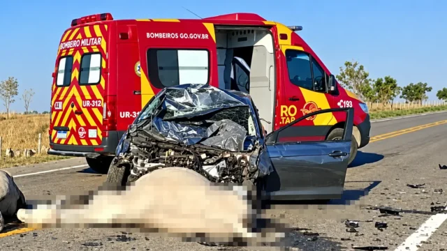 Carro atropela rebanho e cinco bovinos morrem na GO-446, em Iaciara