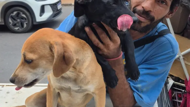 Catador de recicláveis divide o pouco que tem com cães que resgata nas ruas de Goiânia
