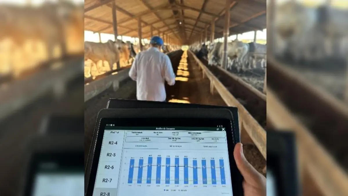 Do peão ao algoritmo: inteligência artificial transforma a rotina dos confinamentos de gado