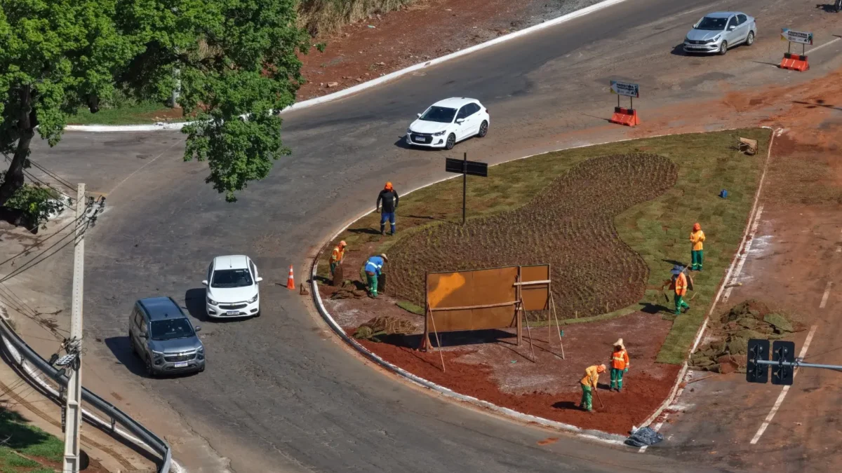 Em fase final de obras, Comurg inicia plantio ornamental na rotatória do Hugol