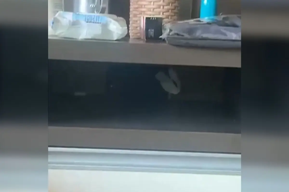 feed-image-1792146872 Pedreiro esconde celular para filmar cliente trocando de roupa em Jaraguá: “momento de fraqueza”