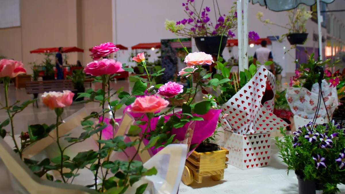 Feira de plantas em Goiânia terá opções a partir de R$ 2,50