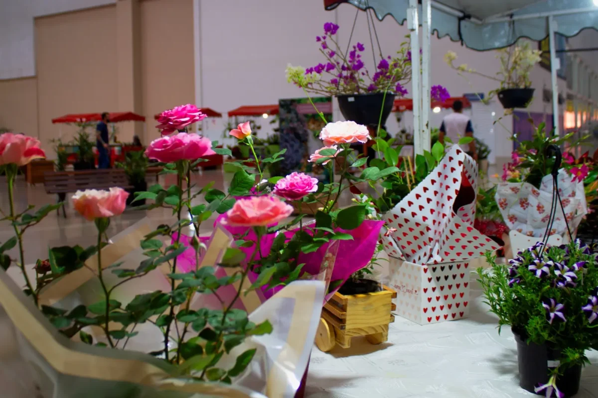 Feira de plantas em Goiânia terá opções a partir de R$ 2,50