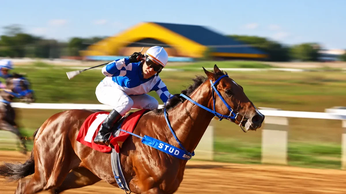 Goiânia terá corridas de cavalos com entrada gratuita no aniversário de 93 anos