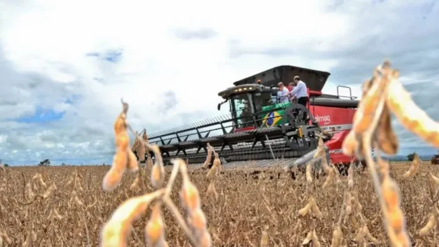 Goiás registra superávit de US$ 589 milhões na balança comercial em setembro