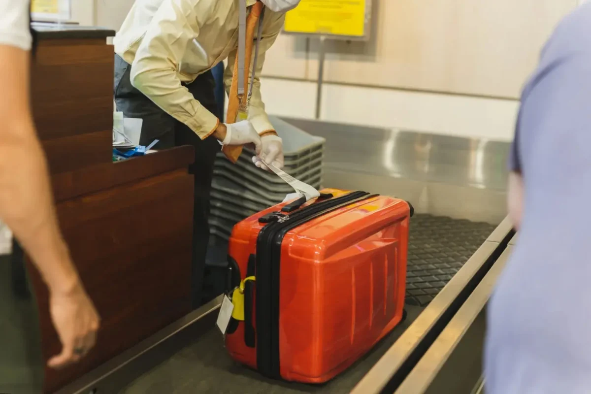 Homem é preso em aeroporto com 90 lagartos e cobras venenosas na bagagem