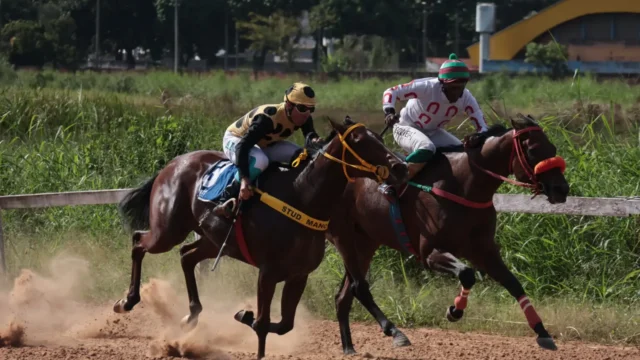 Jóquei Clube promove corridas de cavalos gratuitas em comemoração ao aniversário de Goiânia