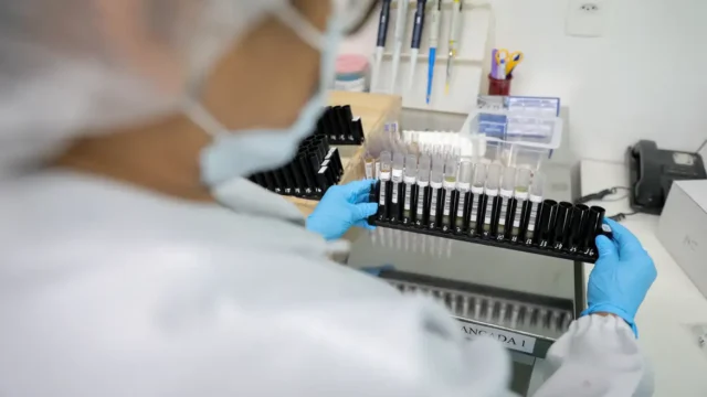 Malária: Anvisa autoriza teste em humanos de vacina 100% brasileira