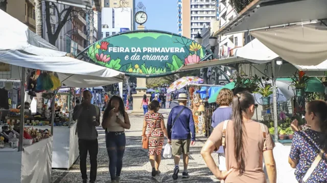 Mulher é atingida por galho durante temporal e tradicional feira é suspensa em Curitiba