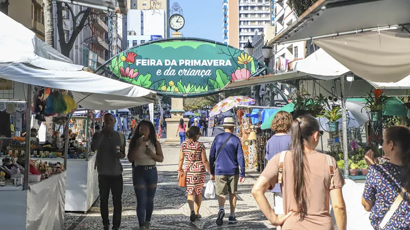 Mulher é atingida por galho durante temporal e tradicional feira é suspensa em Curitiba