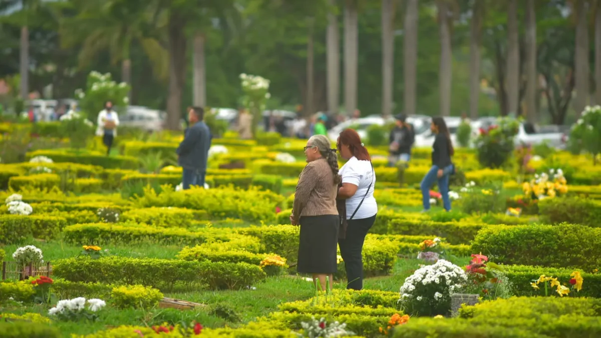 O que acontece com as flores deixadas nos túmulos após o Dia de Finados em Goiânia?