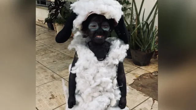 Pais passam a noite criando fantasia de Shaun, o Carneiro para filha em Goianésia; veja vídeo