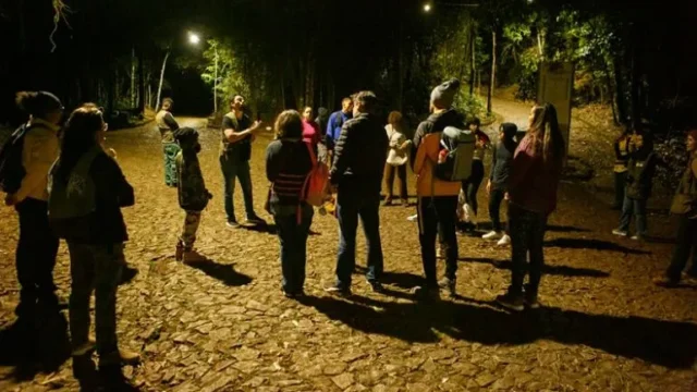Parque das Mangabeiras terá trilha noturna gratuita para observar anfíbios em BH