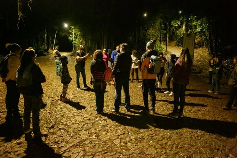 Parque das Mangabeiras terá trilha noturna gratuita para observar anfíbios em BH