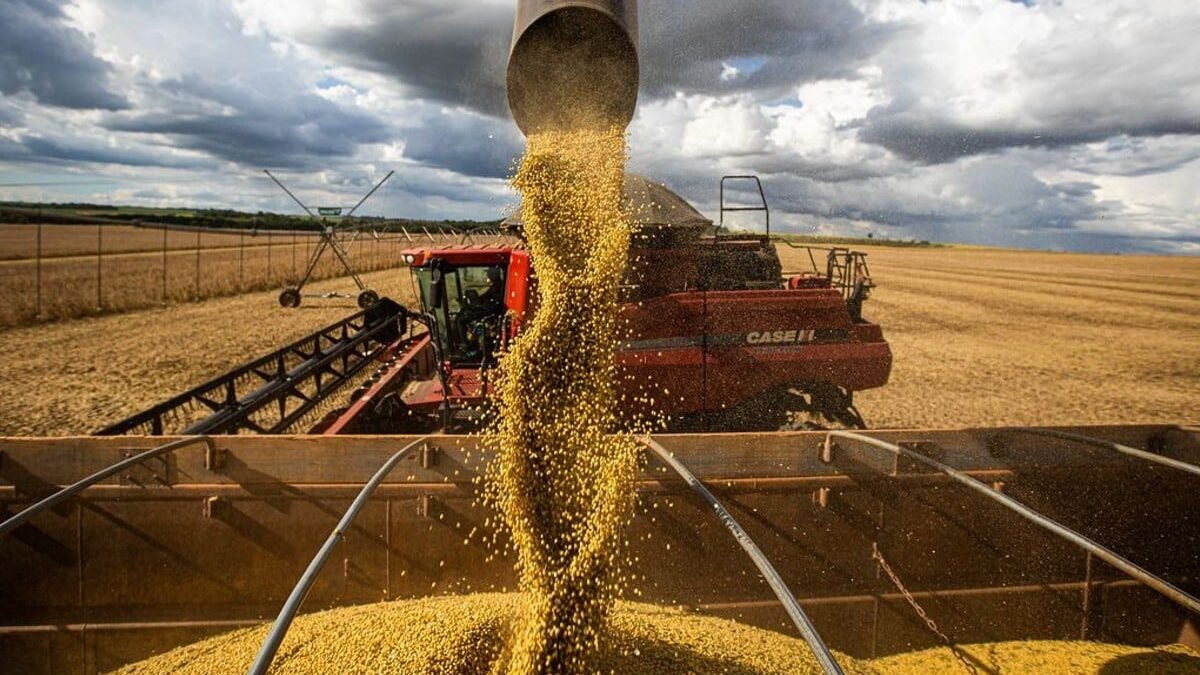 Pedidos de recuperação judicial do agro goiano disparam na Justiça e chega a 84 em três meses