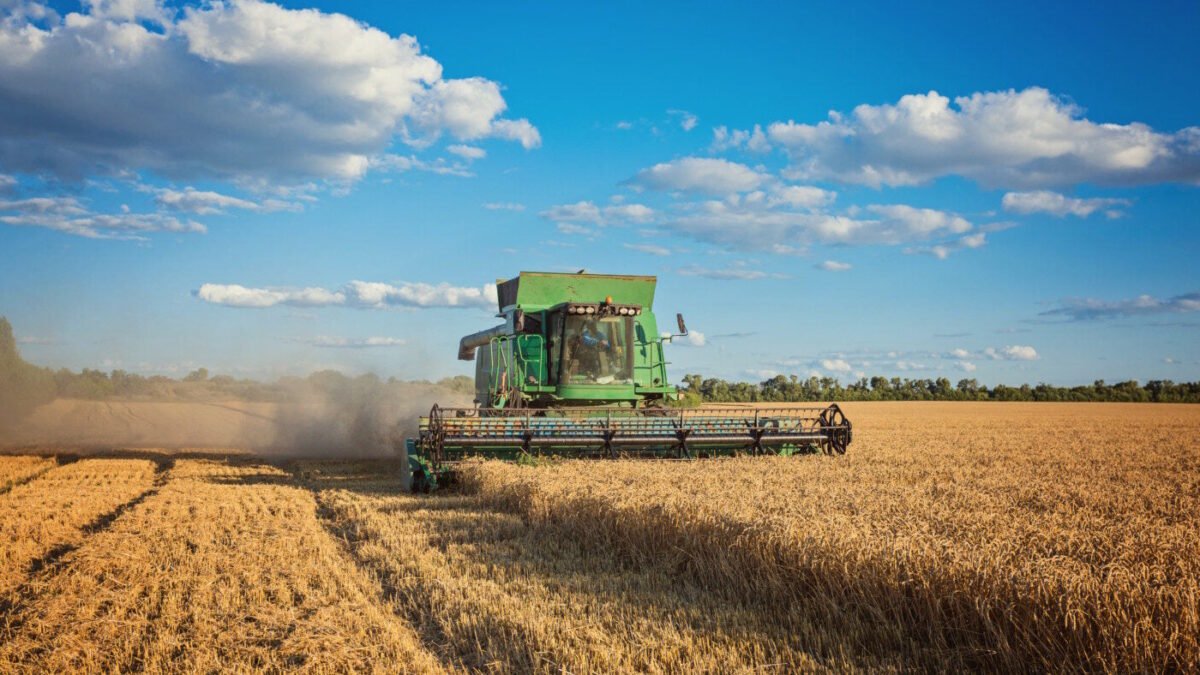 Pedidos de recuperação judicial no agro caem 20,7% no Brasil em 2026; Goiás soma 84 casos
