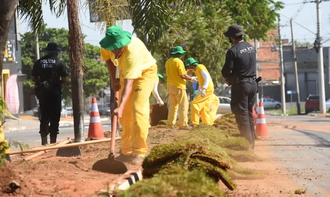Prefeitura de Aparecida amplia paisagismo de 20 avenidas com mão de obra de reeducandos do sistema prisional