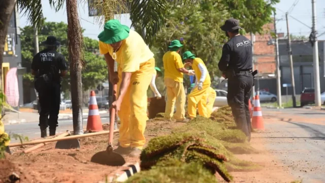 Prefeitura de Aparecida amplia paisagismo de 20 avenidas com mão de obra de reeducandos do sistema prisional
