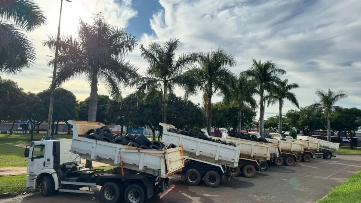 Prefeitura inicia mutirão gratuito para recolhimento de pneus em quatro regiões de Goiânia