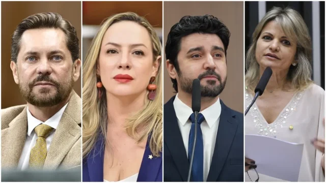 Saiba mais sobre os deputados federais eleitos por Goiás em 2026