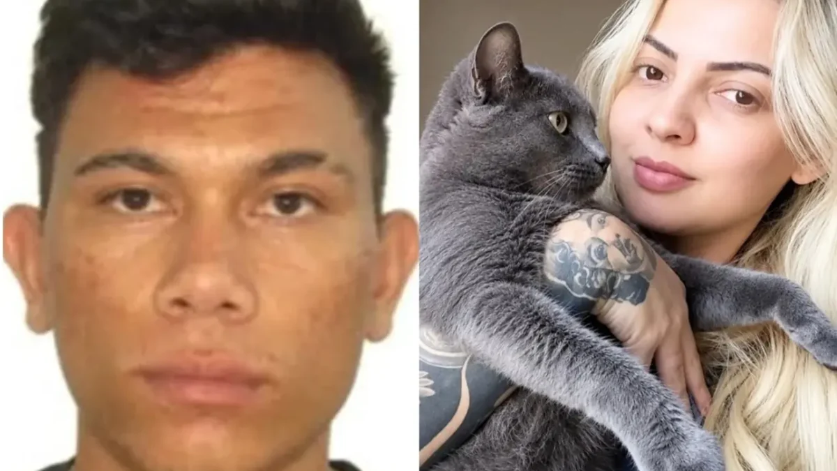 Suspeito de matar mulher a facadas e incendiar casa em Anápolis é encontrado morto em cela