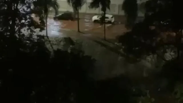 Temporal na noite desta quinta causa alagamentos e quedas de árvores em Goiânia