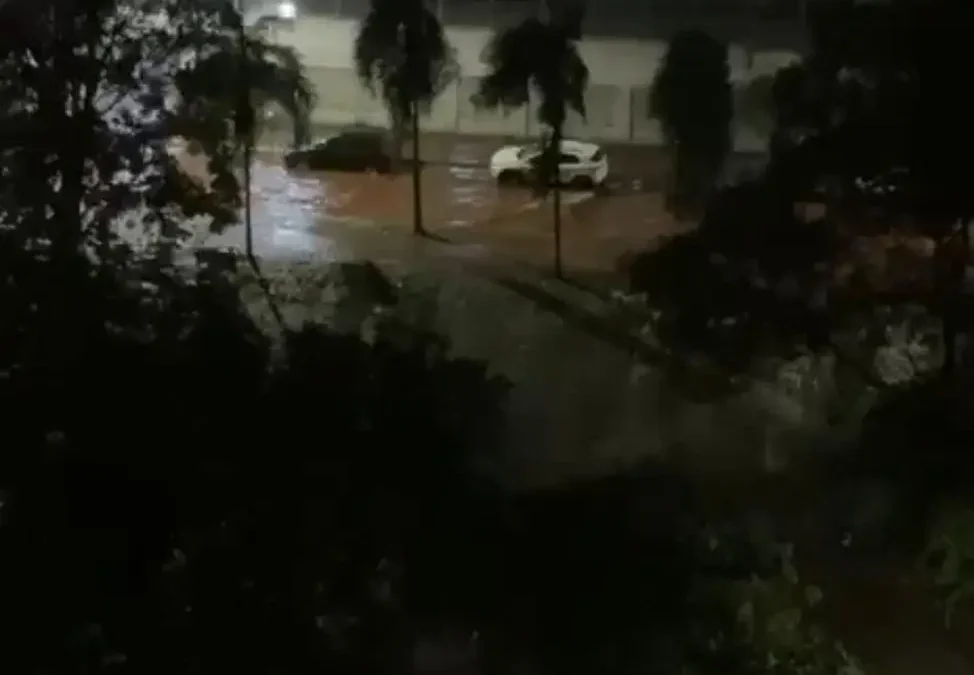 Temporal na noite desta quinta causa alagamentos e quedas de árvores em Goiânia