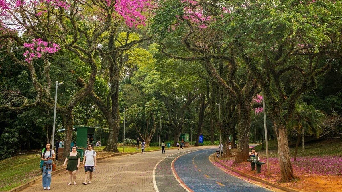 TMC comemora primeiro aniversário com programação especial nas ruas de SP