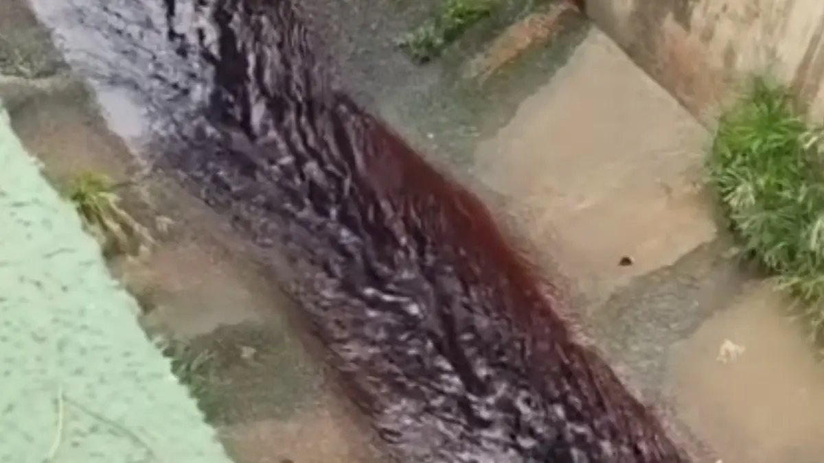 Vídeo: água do ribeirão Pirapitinga fica vermelha e assusta moradores de Catalão