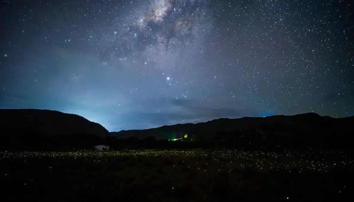 Vídeo mostra espetáculo de vaga-lumes que virou atração noturna na Chapada dos Veadeiros