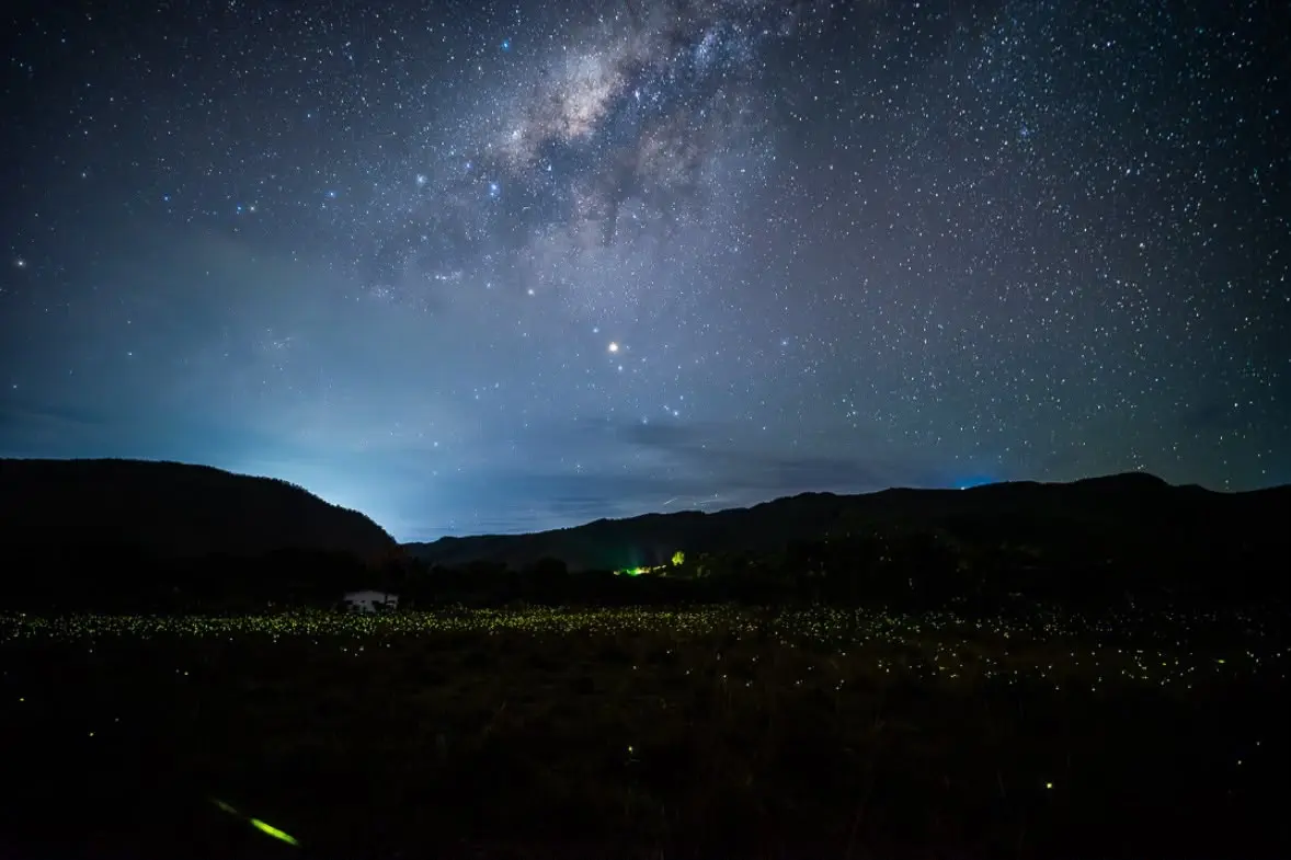 Vídeo mostra espetáculo de vaga-lumes que virou atração noturna na Chapada dos Veadeiros